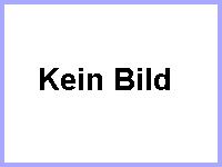 Herren I